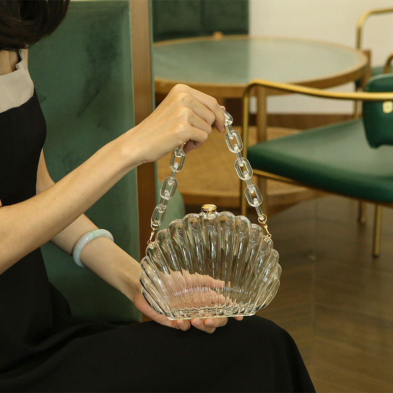 Transparent Acrylic Shell bag  - Women Bags Ysl recension och pris